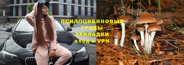 мяу мяу кристалл Богданович